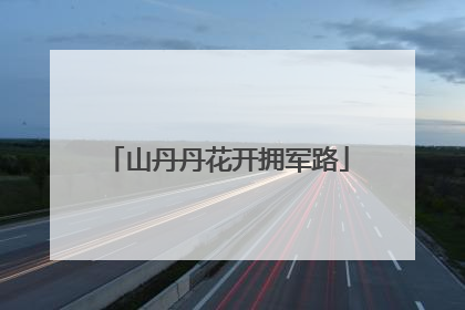 山丹丹花开拥军路