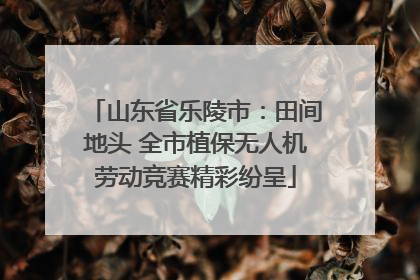 山东省乐陵市：田间地头 全市植保无人机劳动竞赛精彩纷呈