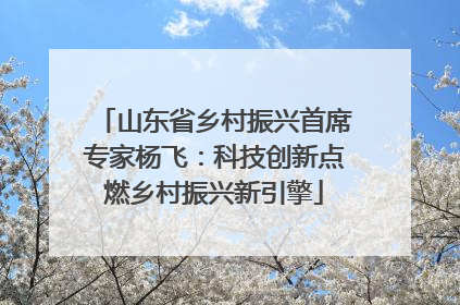 山东省乡村振兴首席专家杨飞：科技创新点燃乡村振兴新引擎