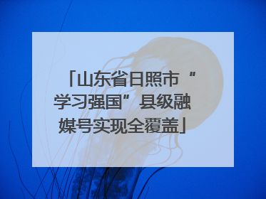 山东省日照市“学习强国”县级融媒号实现全覆盖