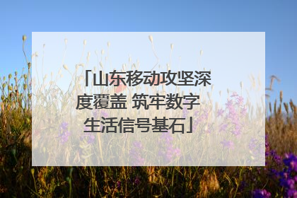 山东移动攻坚深度覆盖 筑牢数字生活信号基石