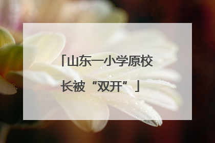 山东一小学原校长被“双开”