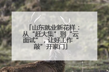 山东就业新花样：从“赶大集”到“云面试”，让好工作“敲”开家门