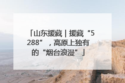 山东援藏｜援藏“5288”，高原上独有的“烟台浪漫”