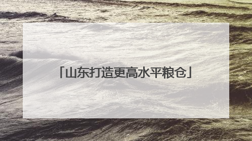 山东打造更高水平粮仓