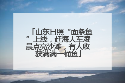 山东日照“面条鱼”上线，赶海大军凌晨点亮沙滩，有人收获满满一桶鱼