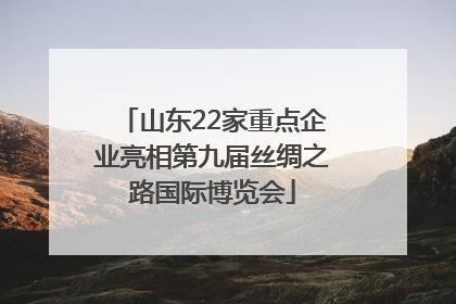 山东22家重点企业亮相第九届丝绸之路国际博览会