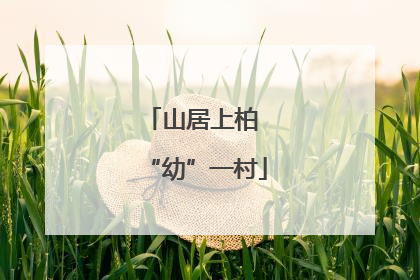 山居上柏 “幼”一村