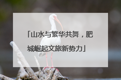 山水与繁华共舞，肥城崛起文旅新势力