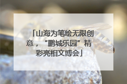 山海为笔绘无限创意，“鹏城乐园”精彩亮相文博会