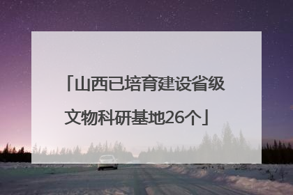 山西已培育建设省级文物科研基地26个