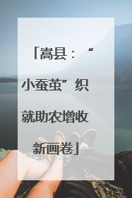 嵩县：“小蚕茧”织就助农增收新画卷