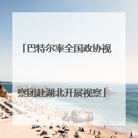 巴特尔率全国政协视察团赴湖北开展视察