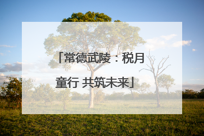 常德武陵：税月童行 共筑未来