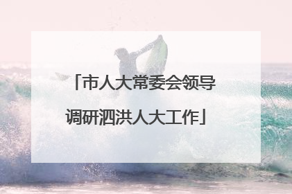 市人大常委会领导调研泗洪人大工作