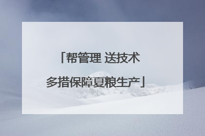 帮管理 送技术 多措保障夏粮生产