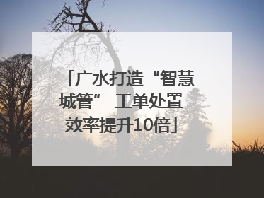 广水打造“智慧城管” 工单处置效率提升10倍