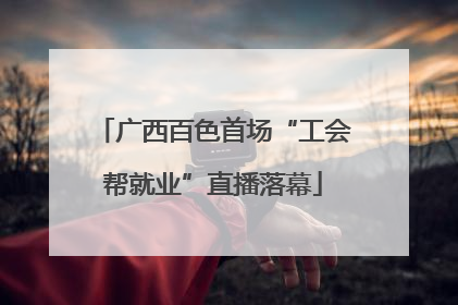 广西百色首场“工会帮就业”直播落幕