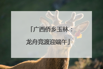 广西侨乡玉林：龙舟竞渡迎端午