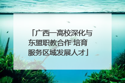 广西一高校深化与东盟职教合作 培育服务区域发展人才