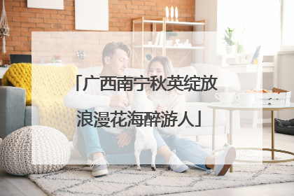 广西南宁秋英绽放 浪漫花海醉游人