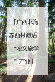 广西北海赤西村激活“农文旅学”产业