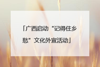 广西启动“记得住乡愁”文化外宣活动