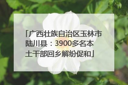 广西壮族自治区玉林市陆川县：3900多名本土干部回乡解纷促和
