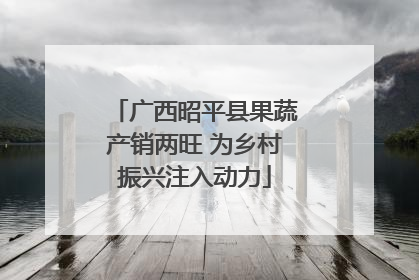 广西昭平县果蔬产销两旺 为乡村振兴注入动力