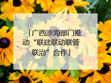 广西涉海部门推动“联建联动联管联治”合作