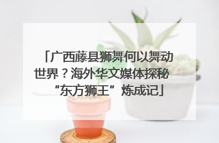 广西藤县狮舞何以舞动世界？海外华文媒体探秘“东方狮王”炼成记