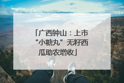 广西钟山：上市“小糖丸”无籽西瓜助农增收