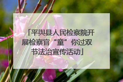 平舆县人民检察院开展检察官“童”你过双节法治宣传活动