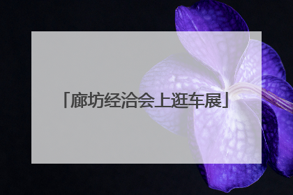 廊坊经洽会上逛车展