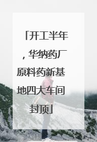 开工半年，华纳药厂原料药新基地四大车间封顶