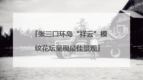 张三口环岛“祥云”模纹花坛呈现最佳景观