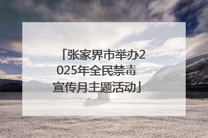 张家界市举办2025年全民禁毒宣传月主题活动