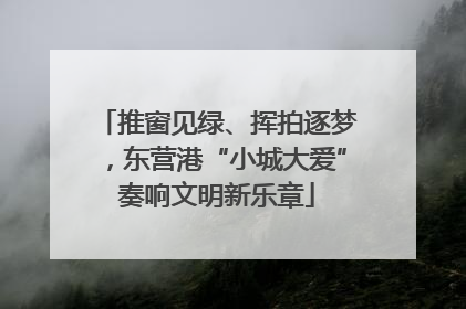 推窗见绿、挥拍逐梦，东营港“小城大爱”奏响文明新乐章