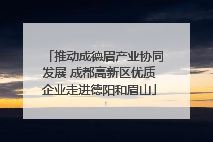 推动成德眉产业协同发展 成都高新区优质企业走进德阳和眉山