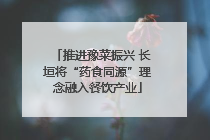 推进豫菜振兴 长垣将“药食同源”理念融入餐饮产业