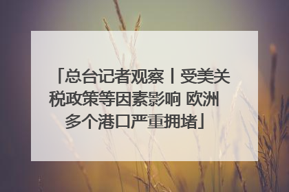 总台记者观察丨受美关税政策等因素影响 欧洲多个港口严重拥堵