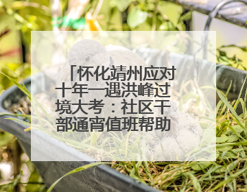 怀化靖州应对十年一遇洪峰过境大考：社区干部通宵值班帮助居民转移财产