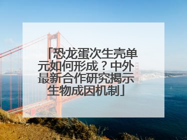 恐龙蛋次生壳单元如何形成？中外最新合作研究揭示生物成因机制