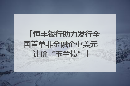 恒丰银行助力发行全国首单非金融企业美元计价“玉兰债”