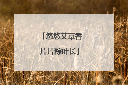 悠悠艾草香 片片粽叶长