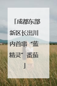 成都东部新区长出川内首串“蓝精灵”番茄