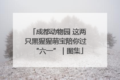 成都动物园 这两只黑猩猩萌宝陪你过“六一”｜图集