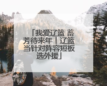 我爱辽篮 蓄芳待来年丨辽篮当针对阵容短板选外援