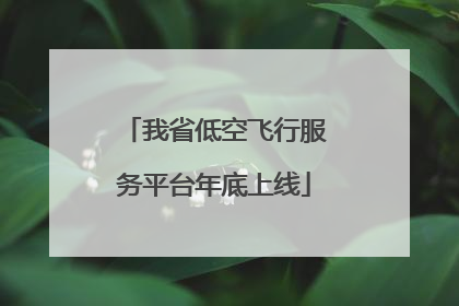我省低空飞行服务平台年底上线