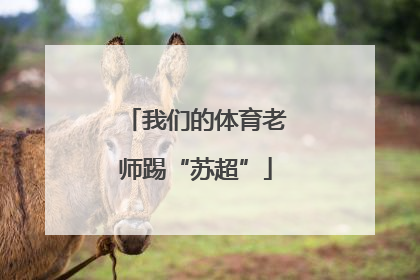 我们的体育老师踢“苏超”